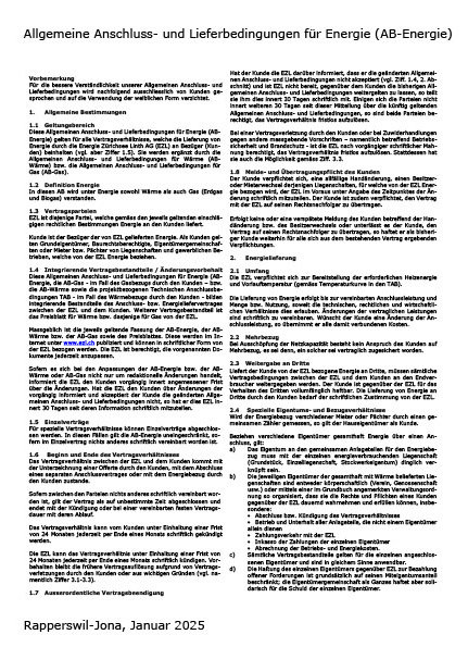 Allgemeine Anschluss und Lieferbedingungen Energie