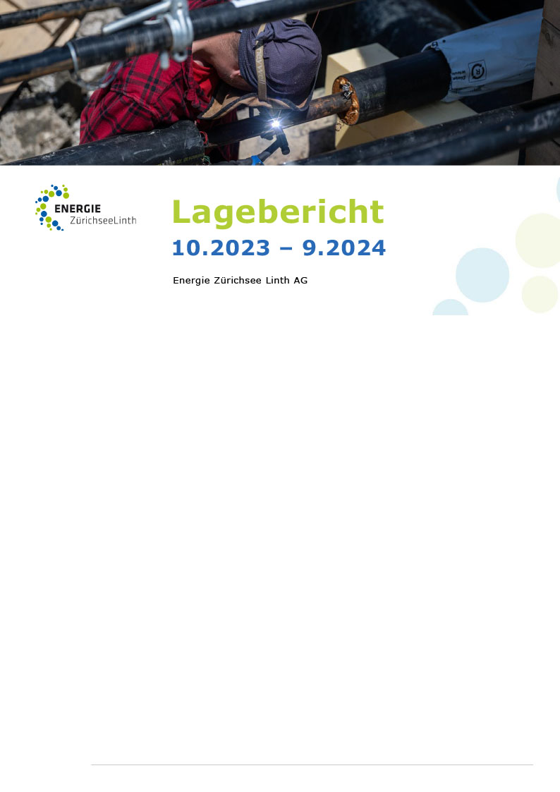 Lagebericht 2024