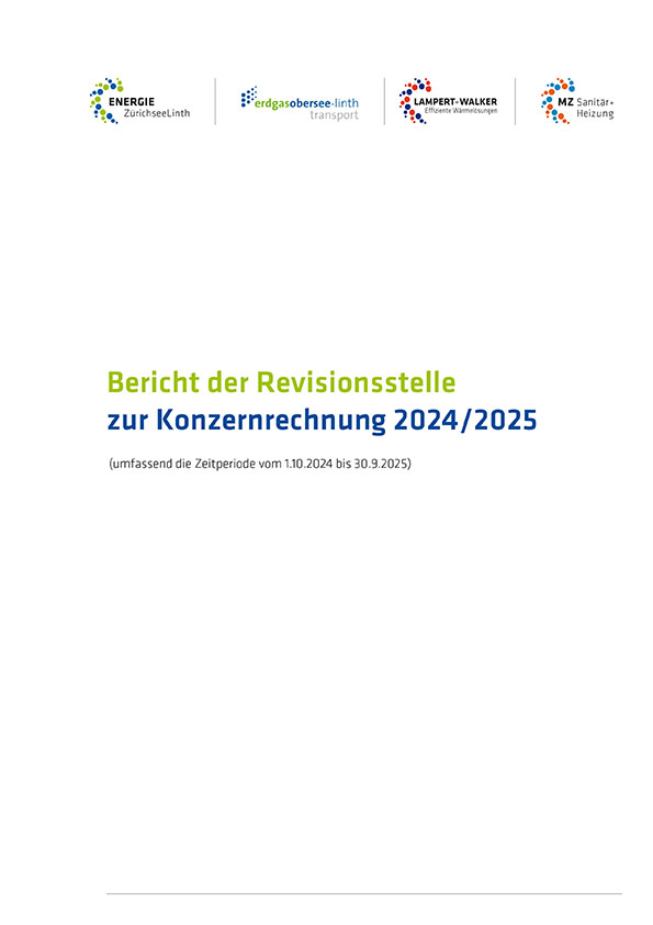 Bericht der RS Konzern