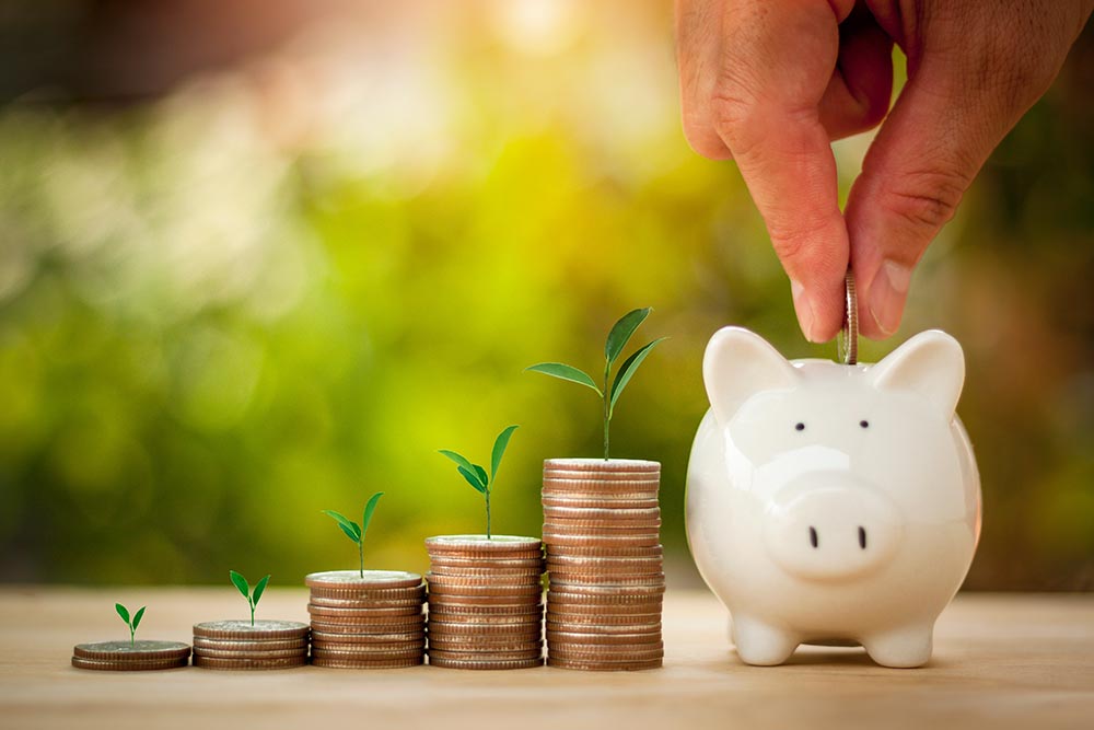 Hand putting coins in a piggy bank for save money with sun light bokeh background and tree growing on coin. Saving Money concept.